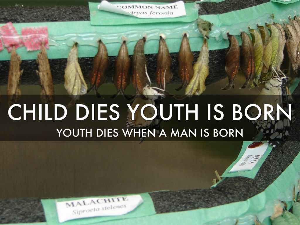 Chapter 2 : Bhagavad Gita