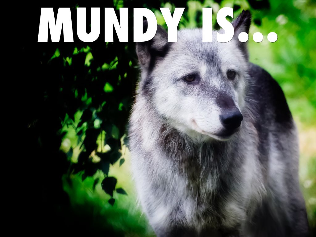 MUNDY IS