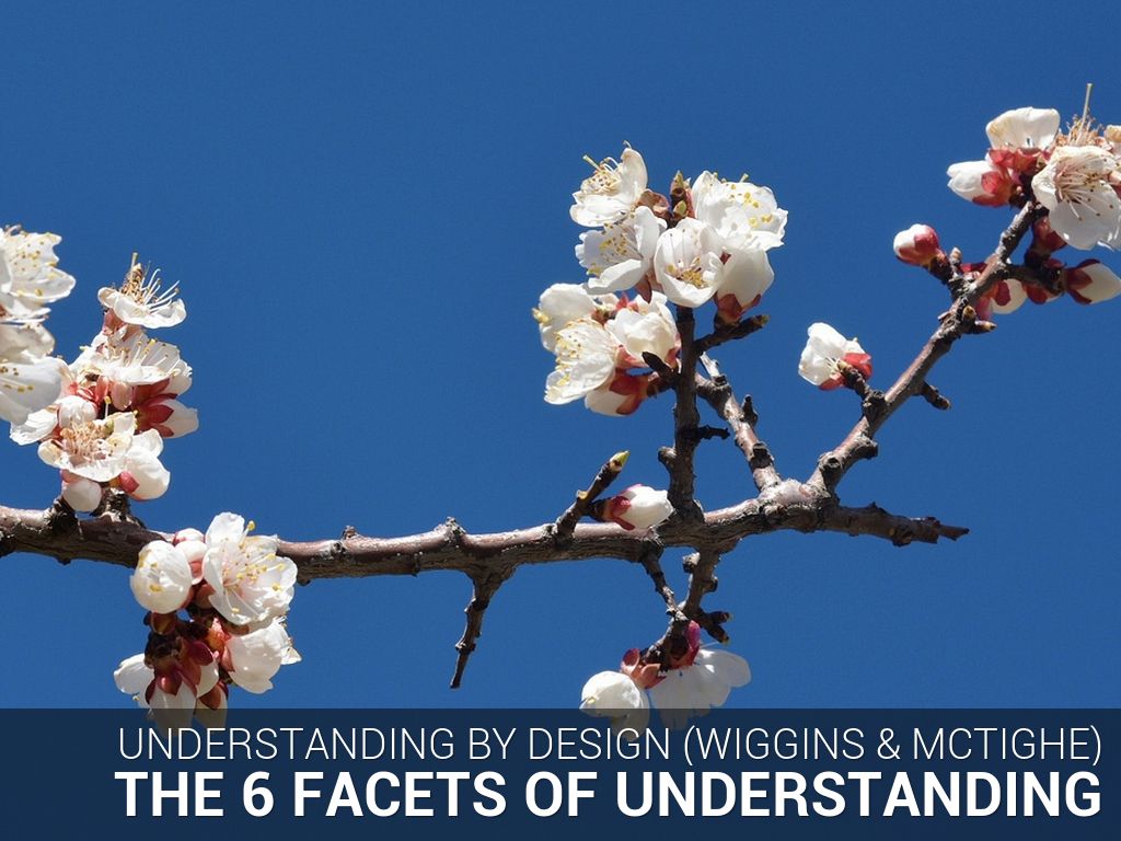 The 6 Facets of Understanding