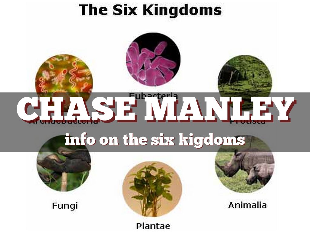 domains and kingdoms