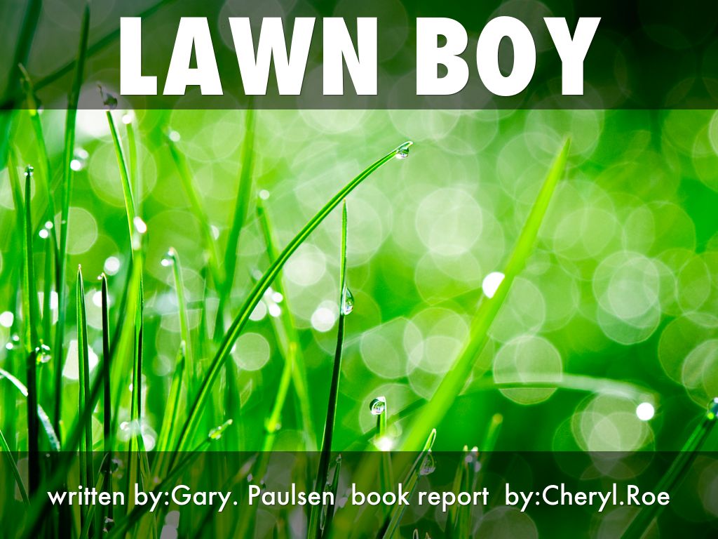 lawn boy