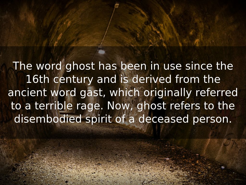 Ghosts by luluroxmysox