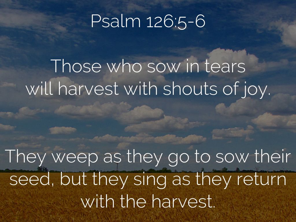 Sowing our tears by Tim Miller