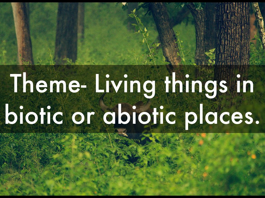 biotic and abiotic