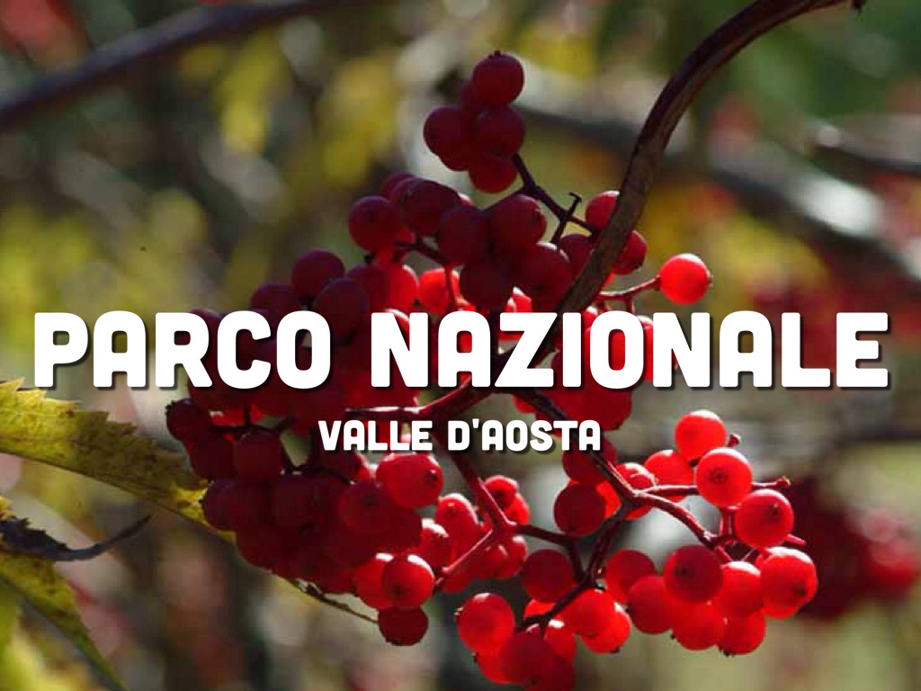 Parco Nazionale 