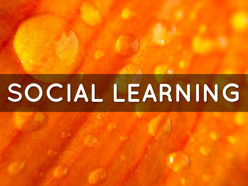 social learning