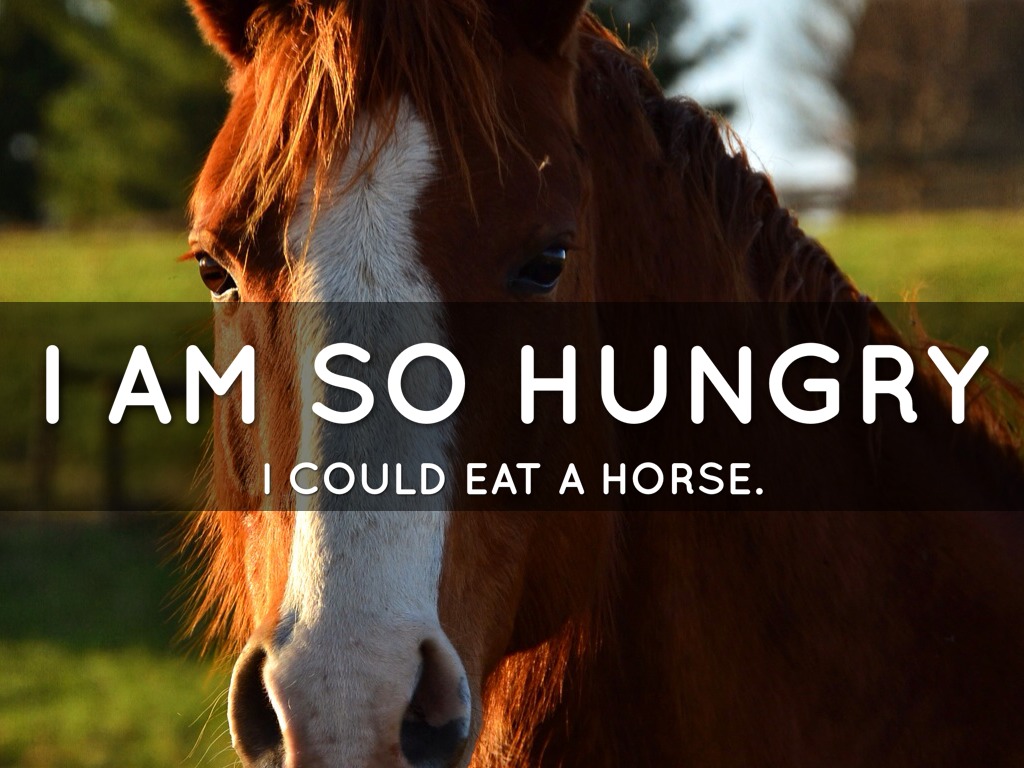 Vocabulary by Zhi Jun Au