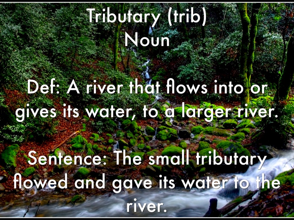 Morphology Unit 8 by Don Nguyen