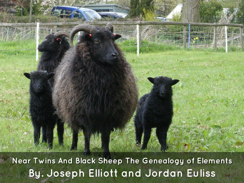 Near Twins And Black Sheep The Genealogy of Elements