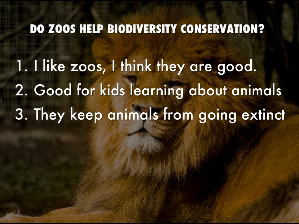 Zoo by Braiden Reynolds