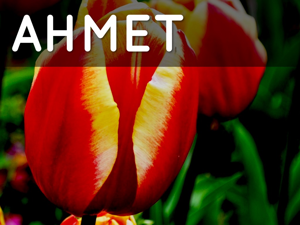 Ahmet