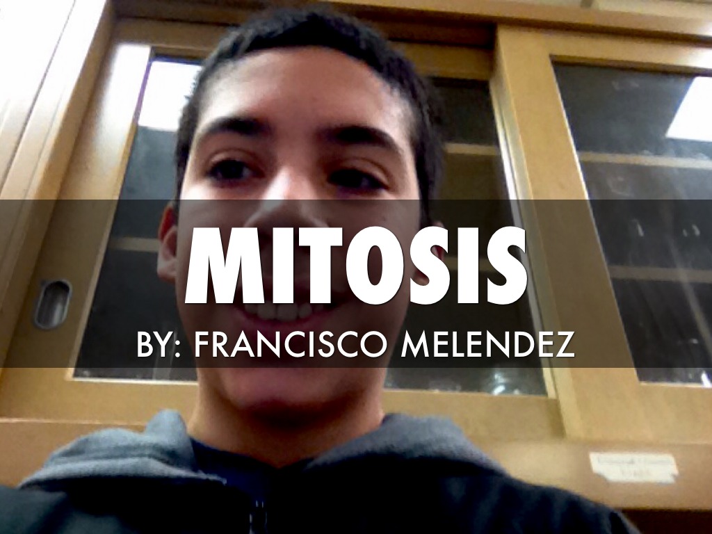Mitosis