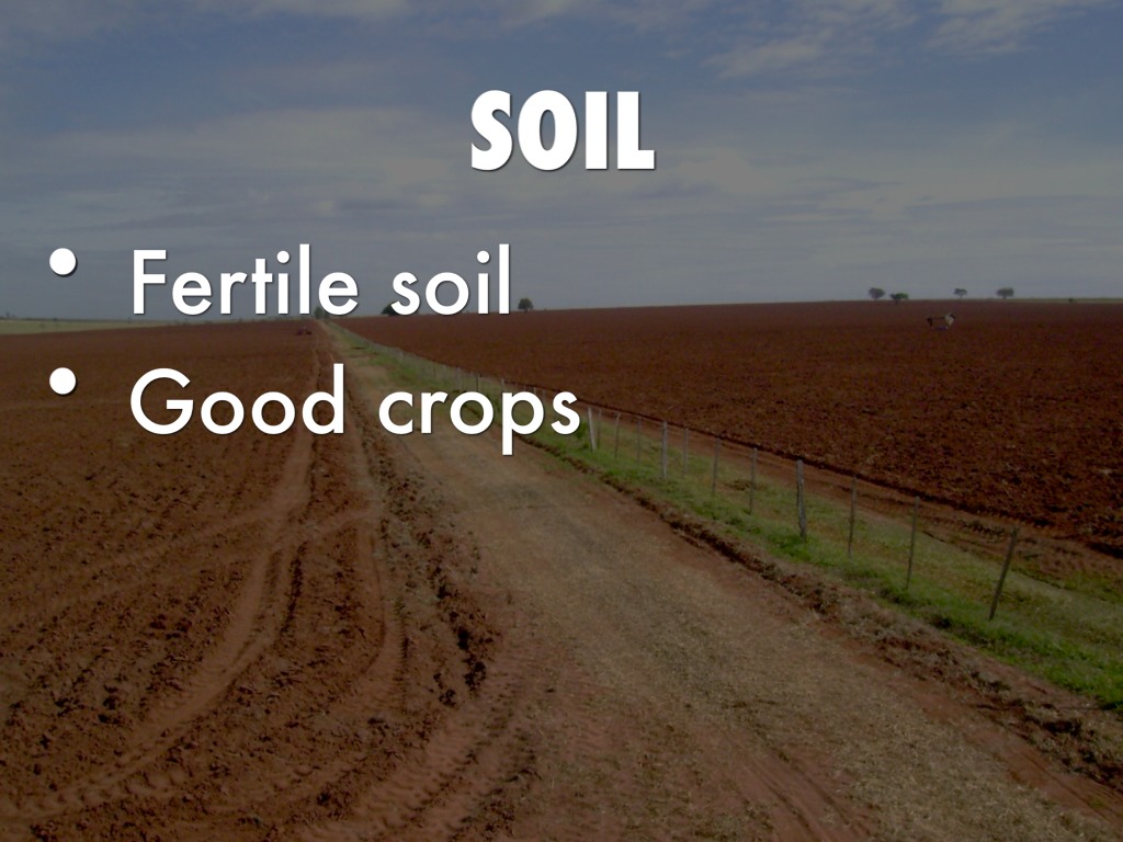 13 Colonies by luisguerrero