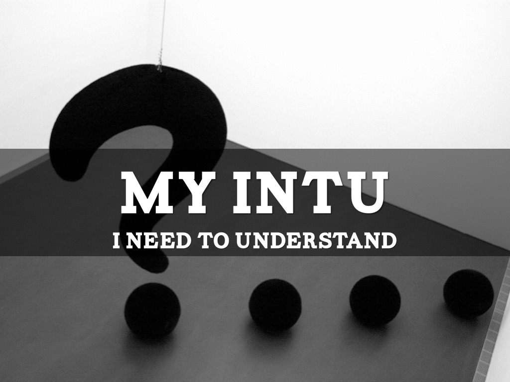 INTU Project by Will