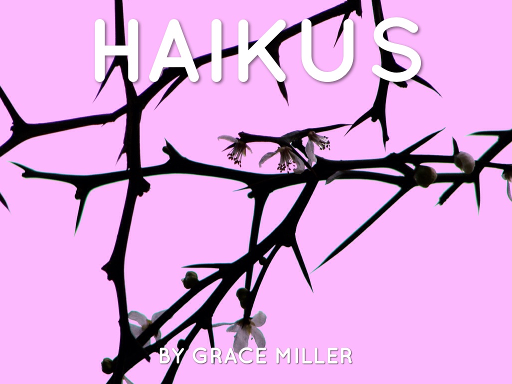 Haiku Deck In Action