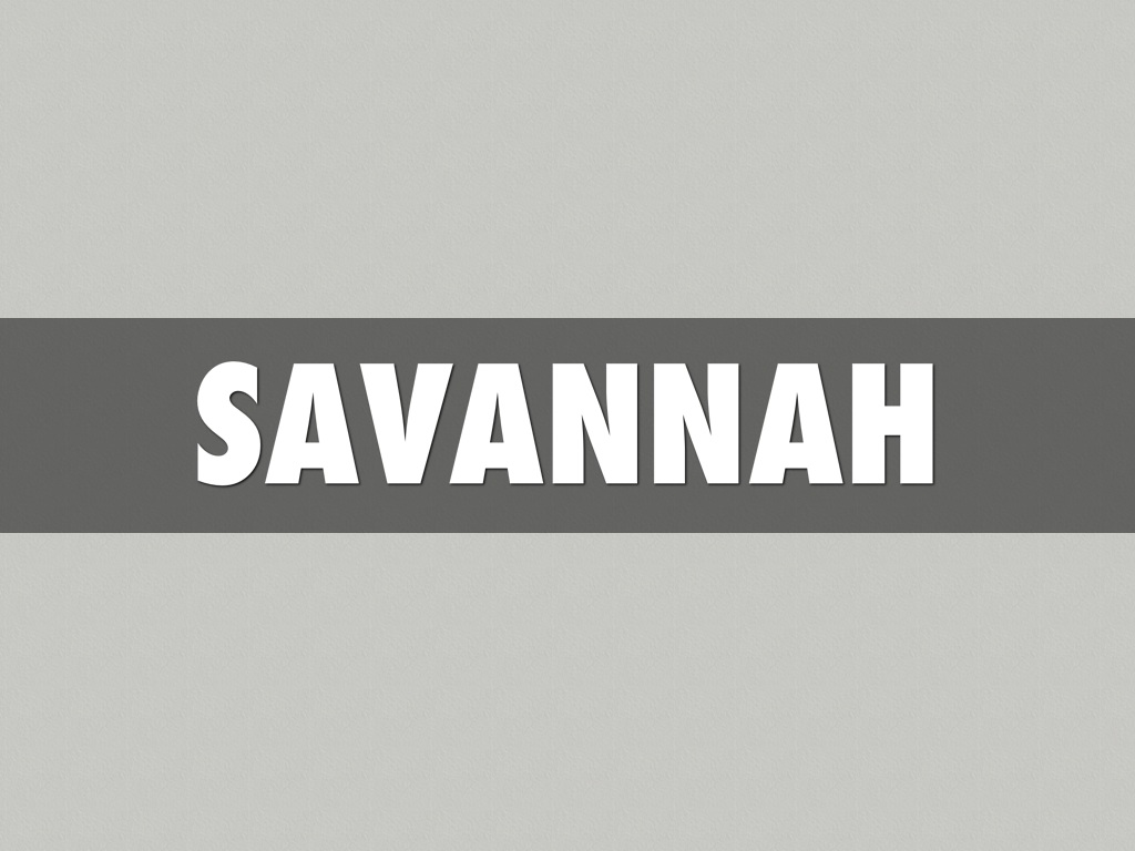Savannah 