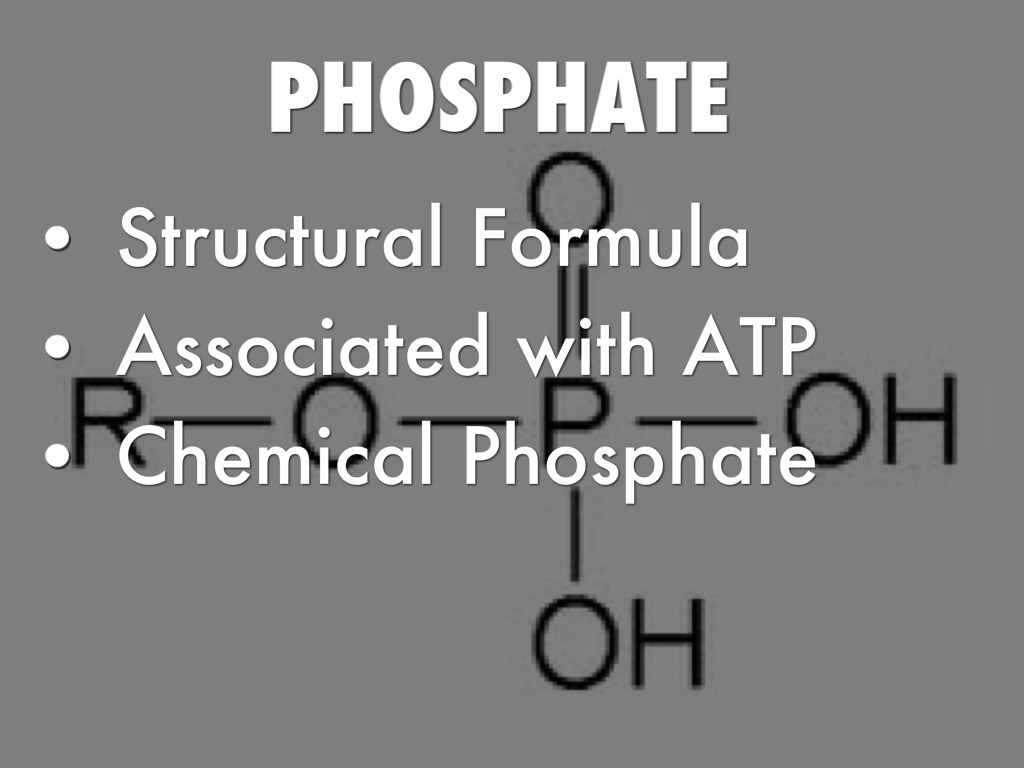 Functional Groups by Cora Stewart