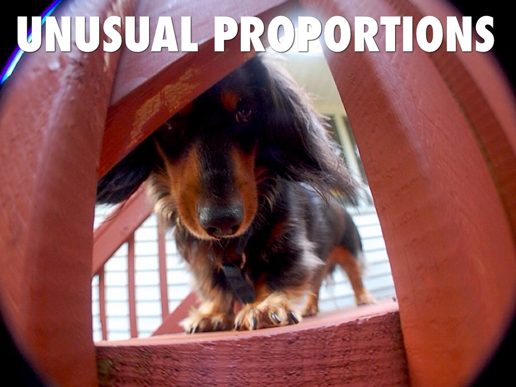 Proportion and Scale