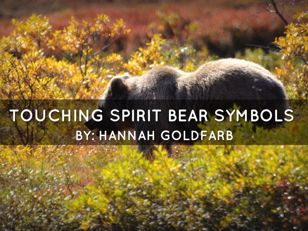 Touching Spirit Bear Symbolism