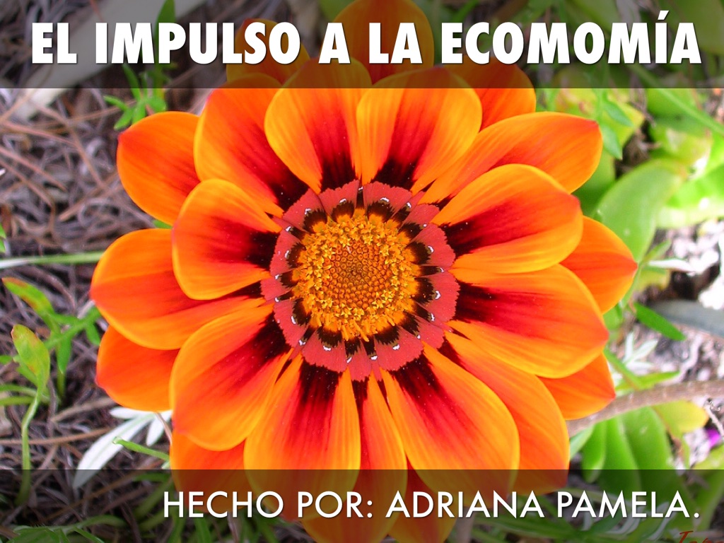 Título presentación pamela historia 