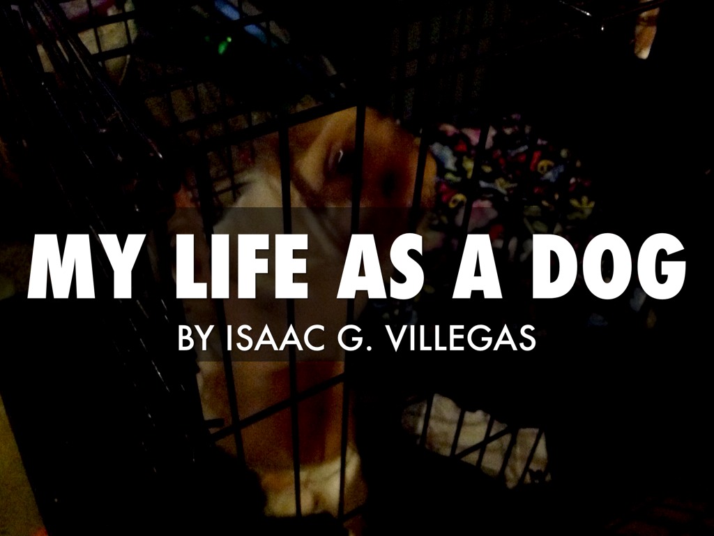 My Life As A Dog