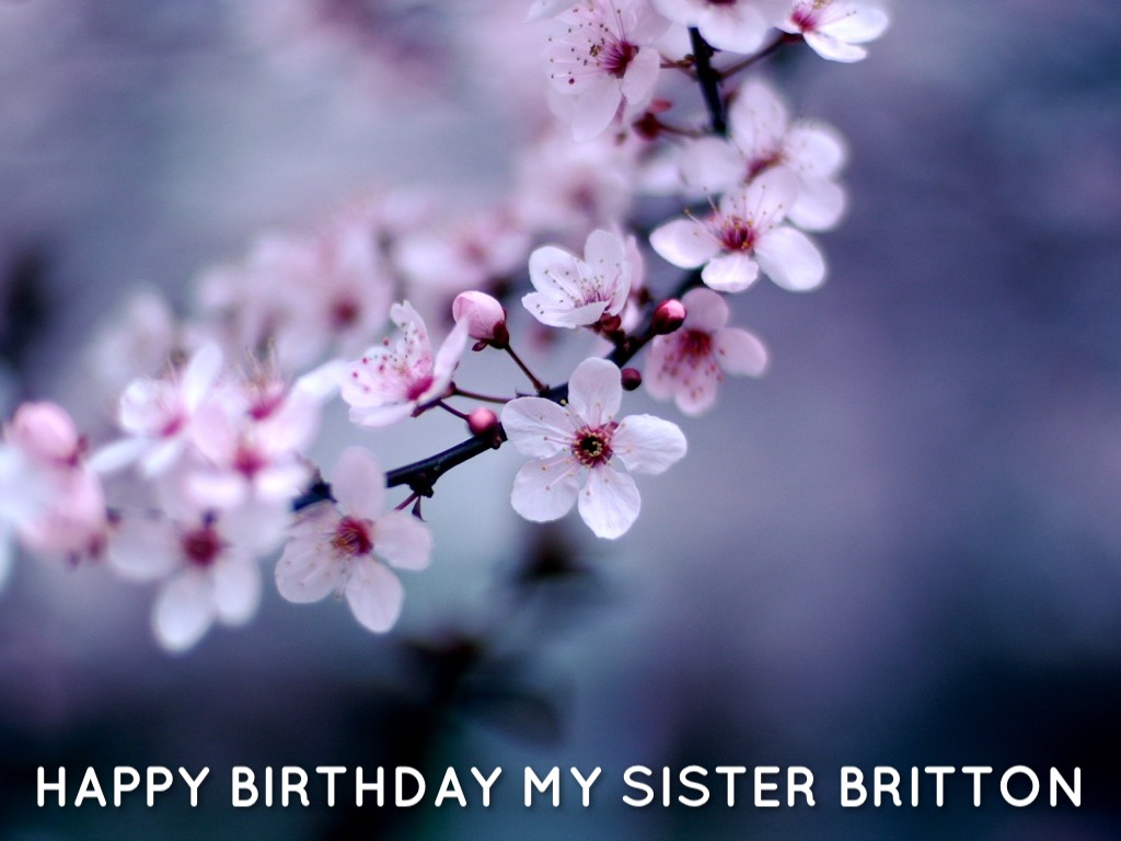 Happy Birthday My Sister Britton
