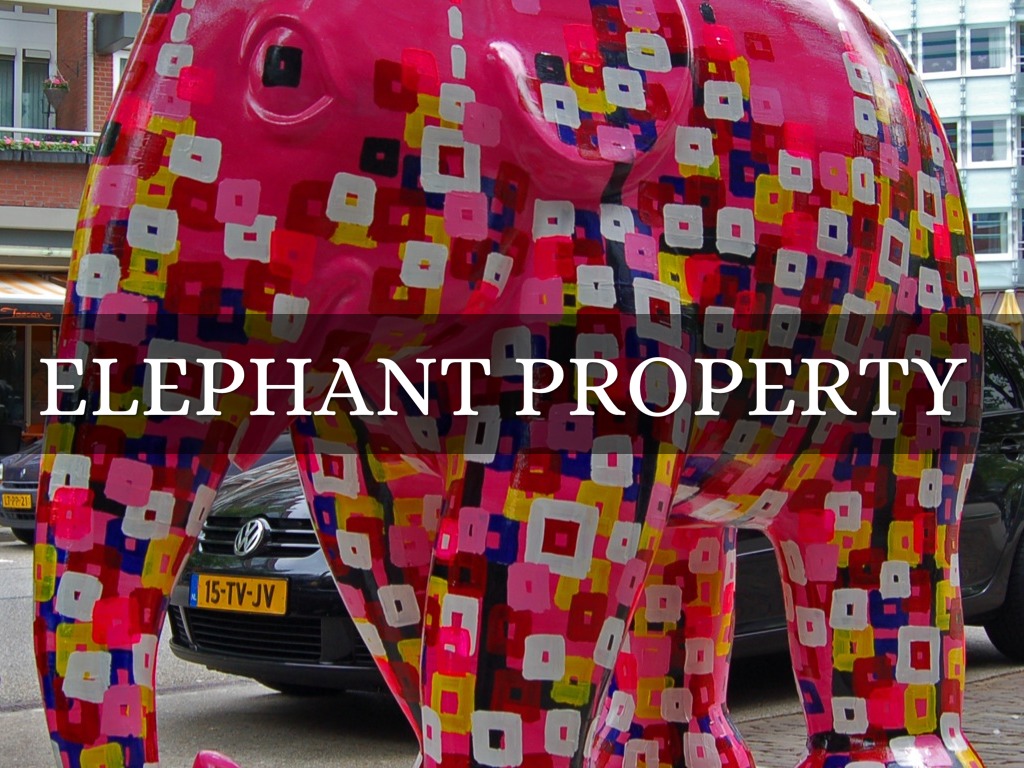 Elephant Life is Happiness - Sally Shaw