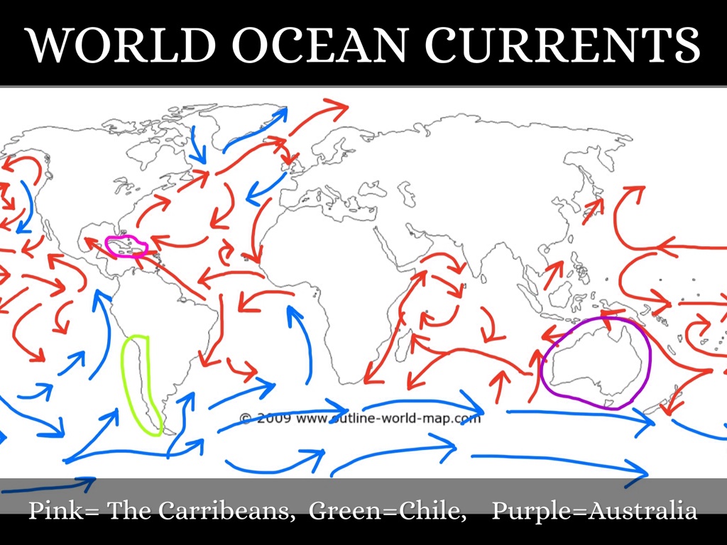 The Impact of TWO Oceans on South African Wine - Culture Wine Co, image size:1024x768