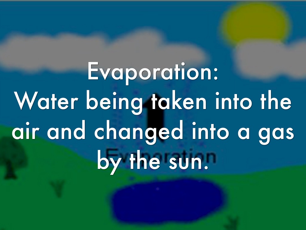  Water Cycle Terms