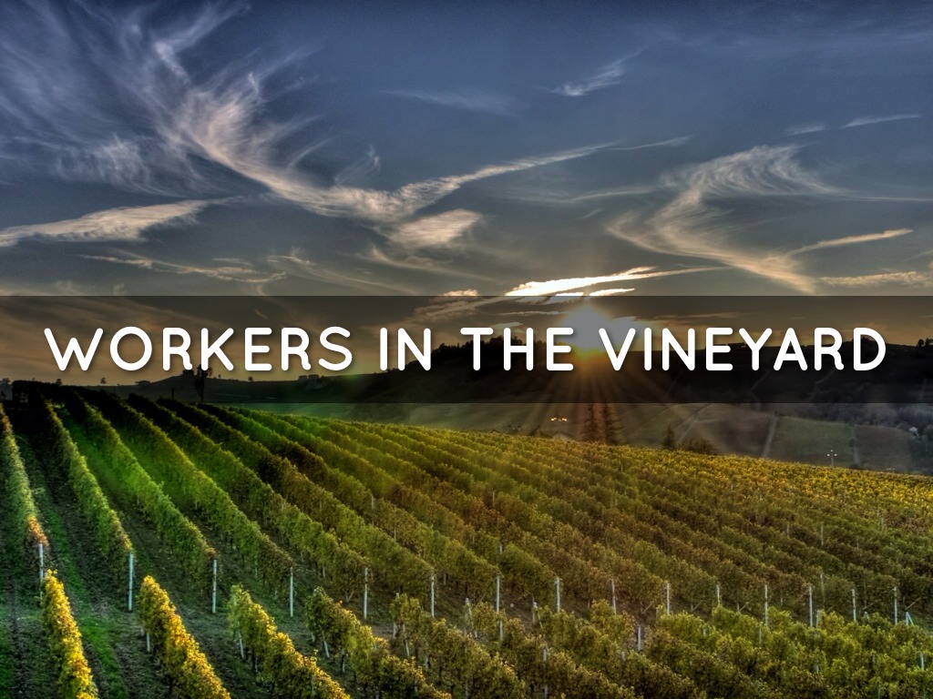 Workers In The Vineyard by theresa.medina