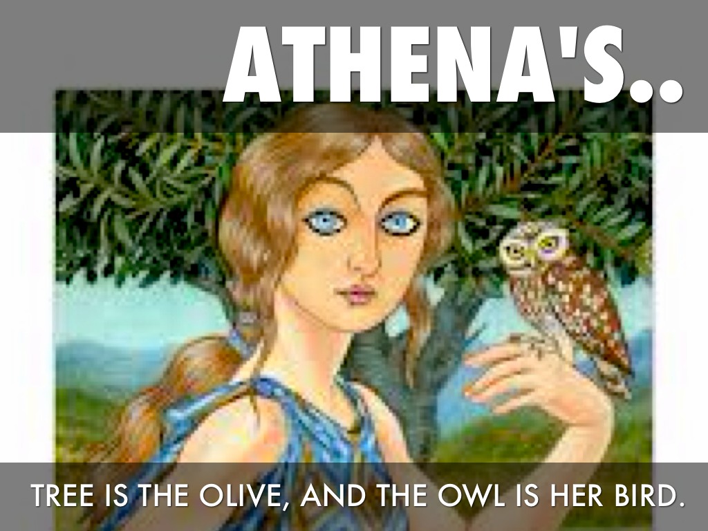 Athena ; Cassie & Victor by Tamara Hinders