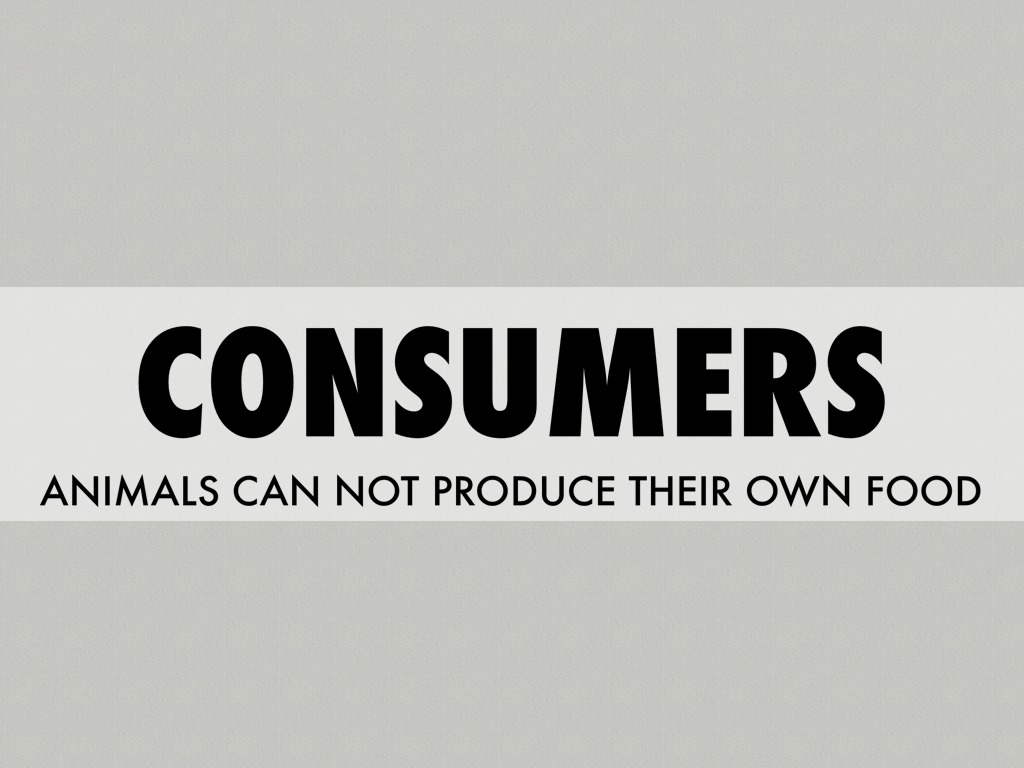 Consumers