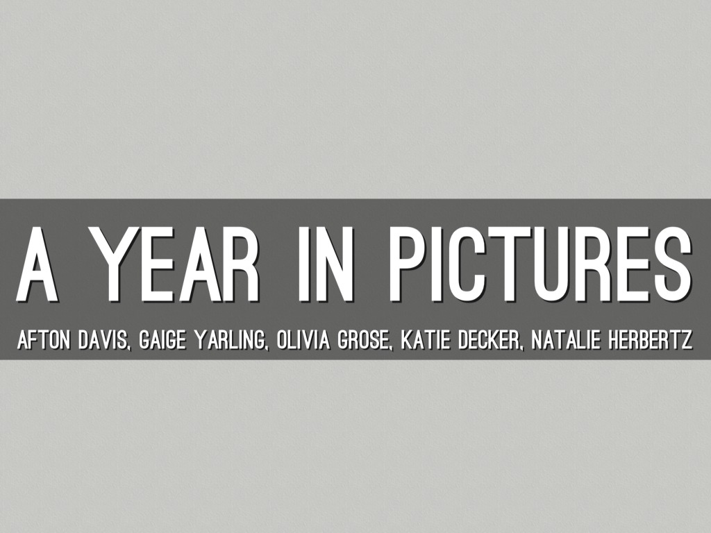 A Year In Pictures