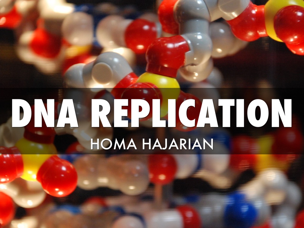 DNA Replication