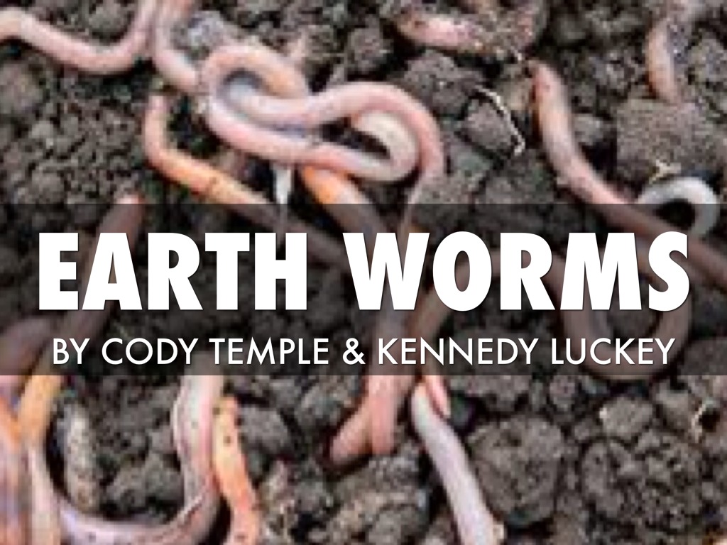 Earth Worms