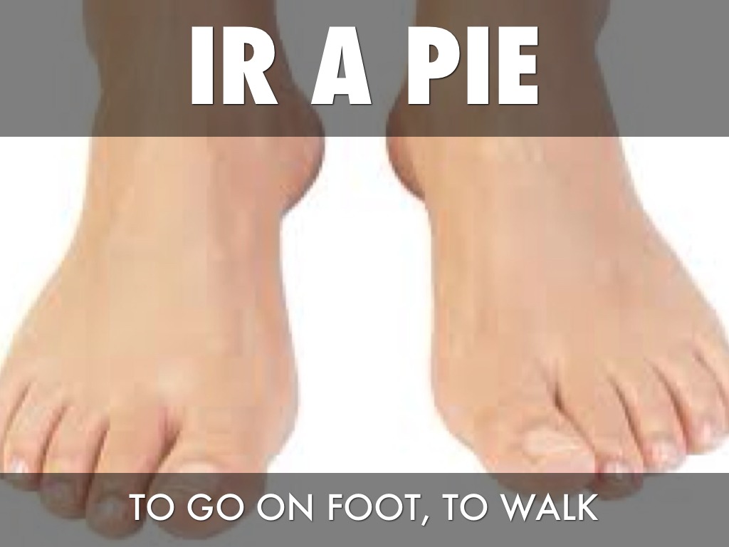 Vocabulary 4 by Sierra Zittle