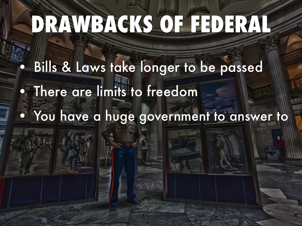 Government Draw Backs And Benefits by Caitlin Lillquist