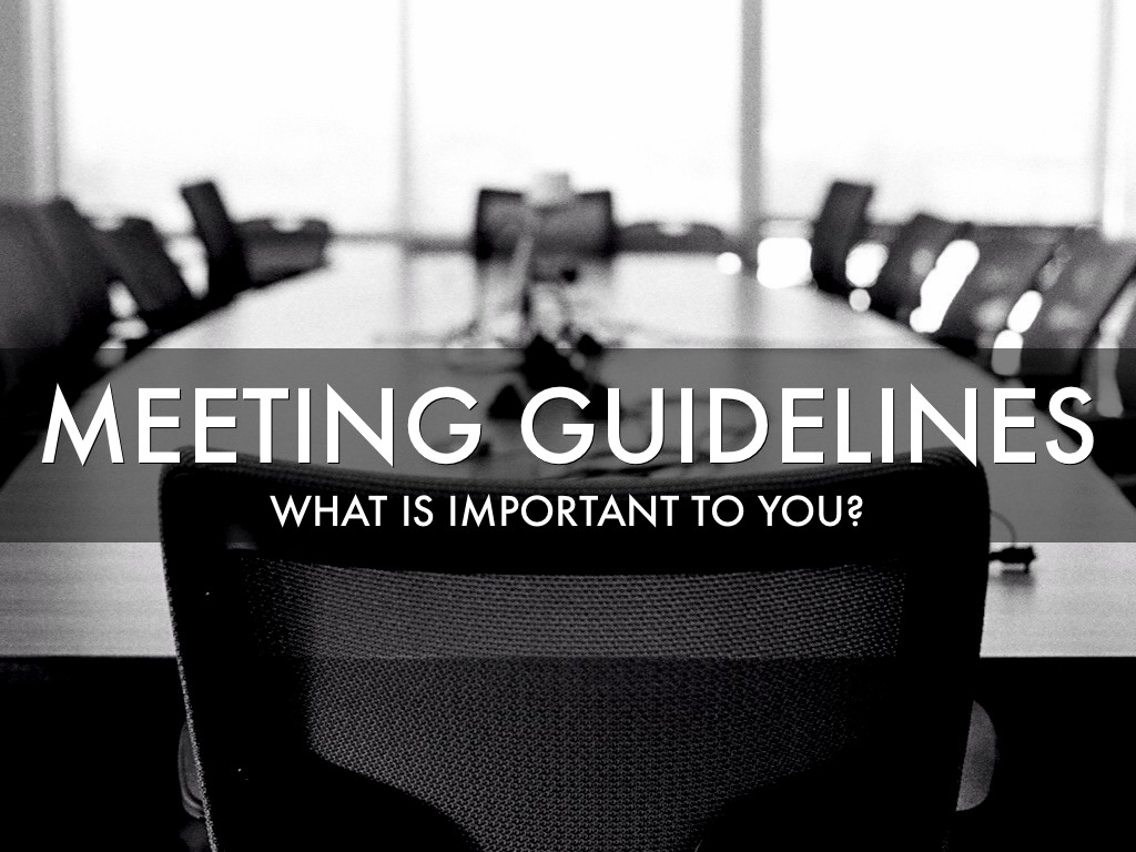 Meeting Guidelines