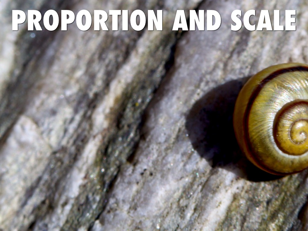 Proportion and Scale
