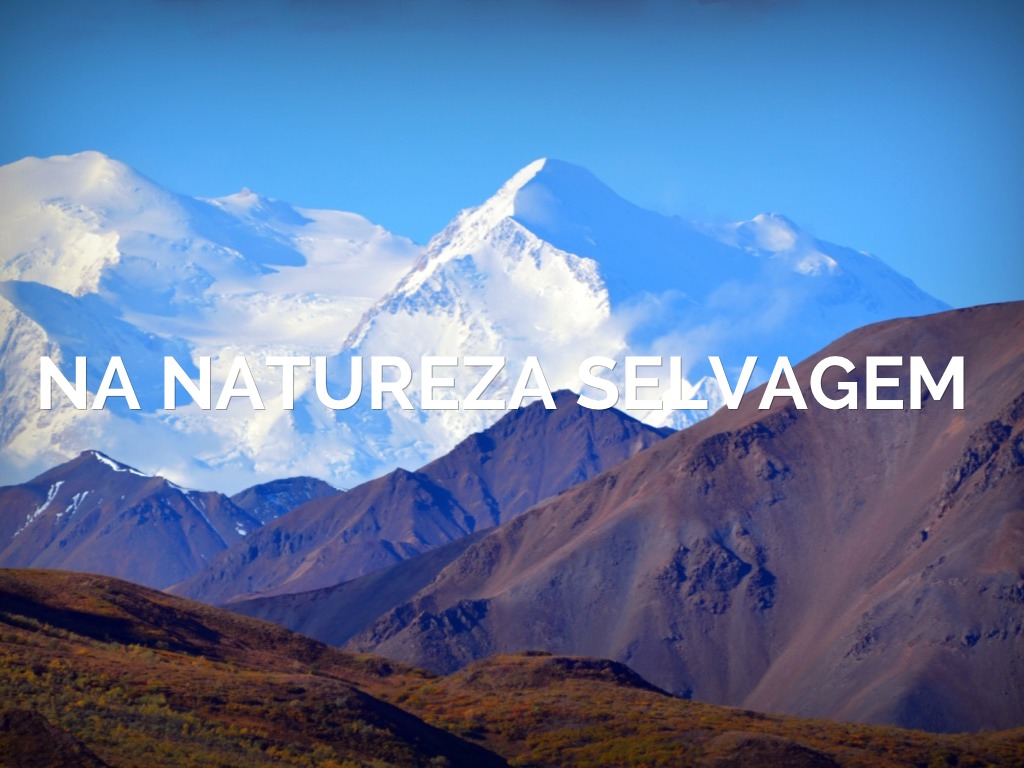 Trabalho De Portugues Maithe, Nakai E Lafani