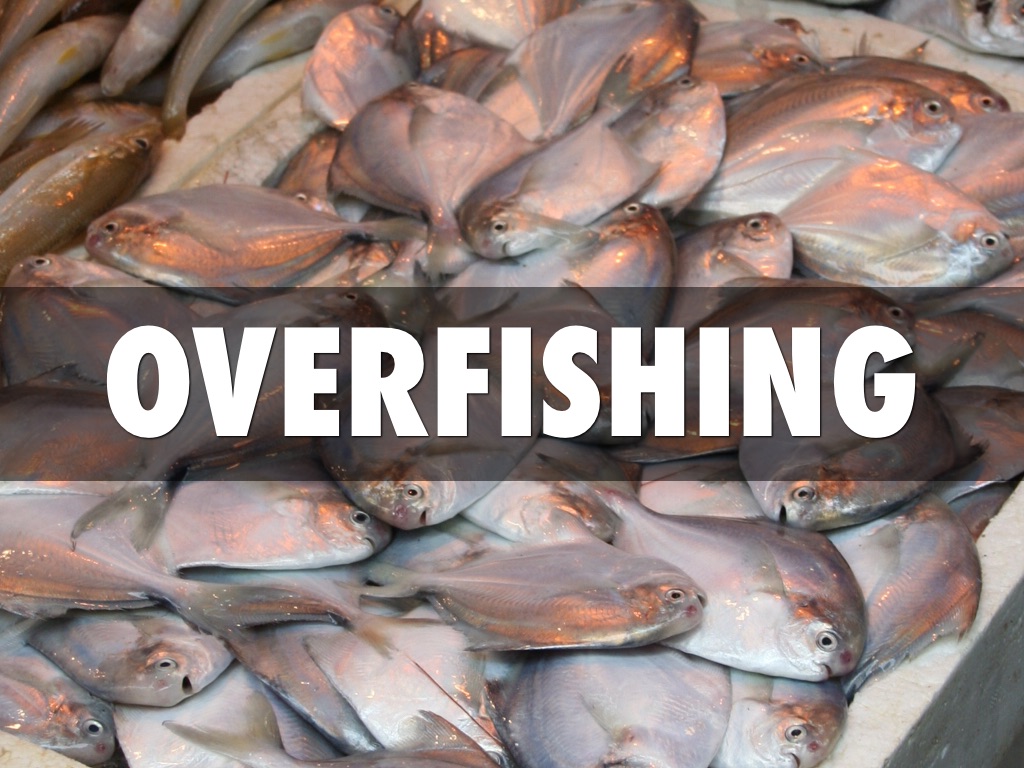 Overfishing Real 