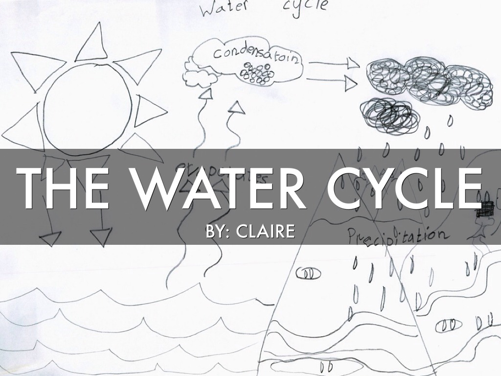 Water Cycle