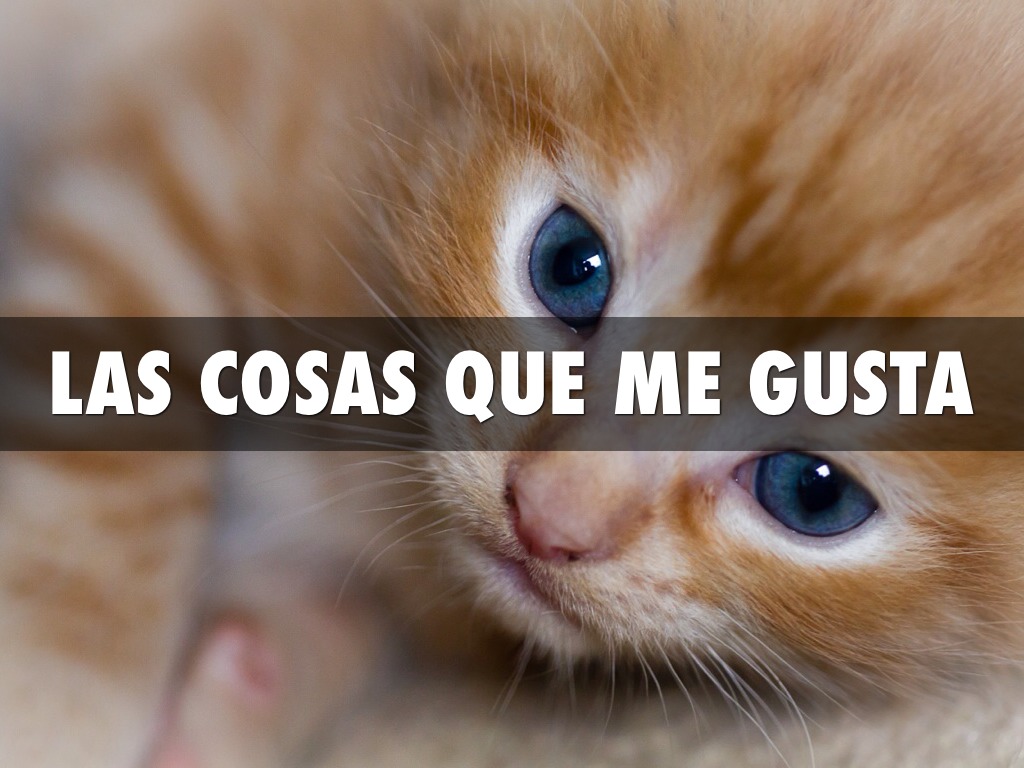 Las Casas Que Me Gusta 