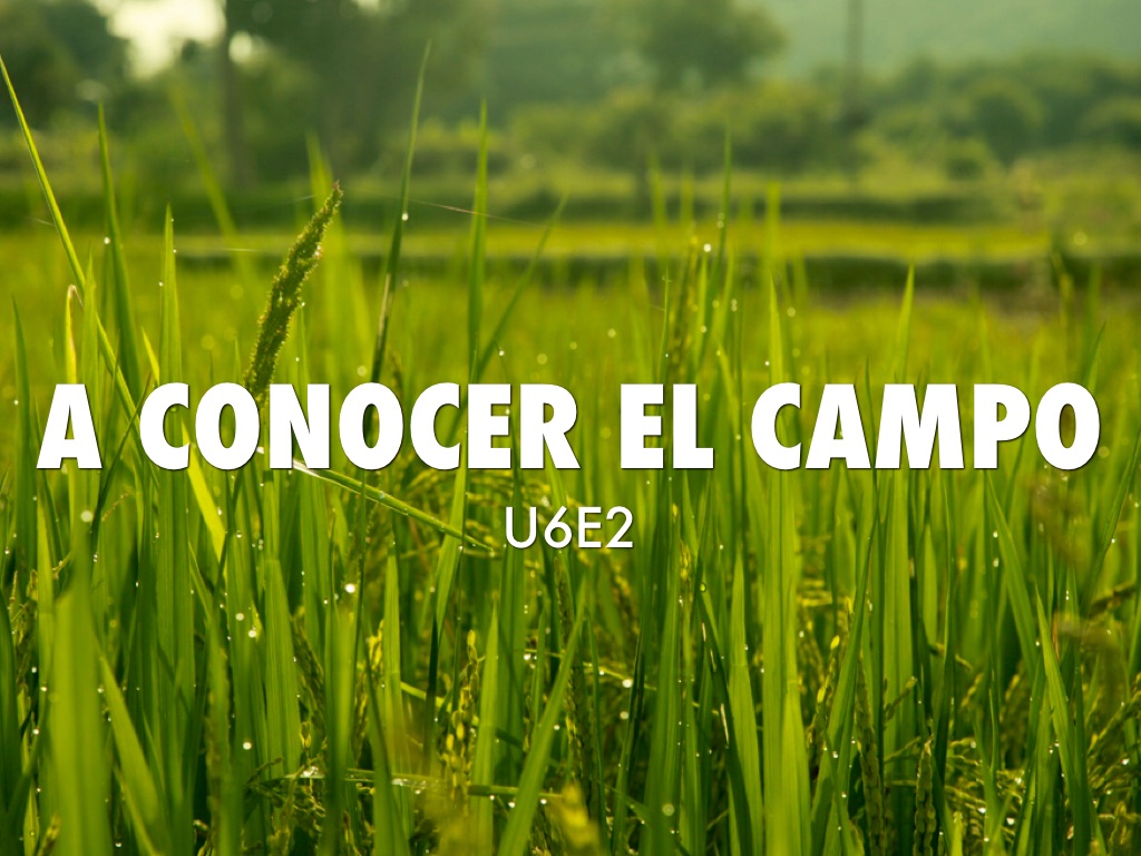 A Conocer El Campo by Carly Meyer