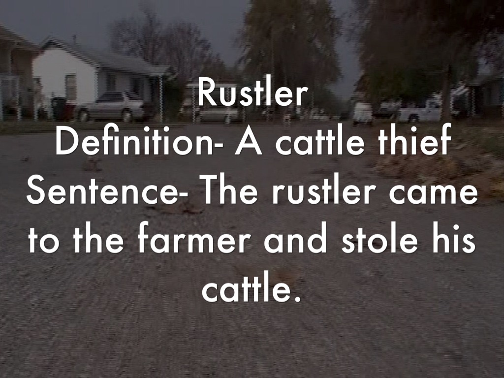 Cattle Assignment by Ariana Raz