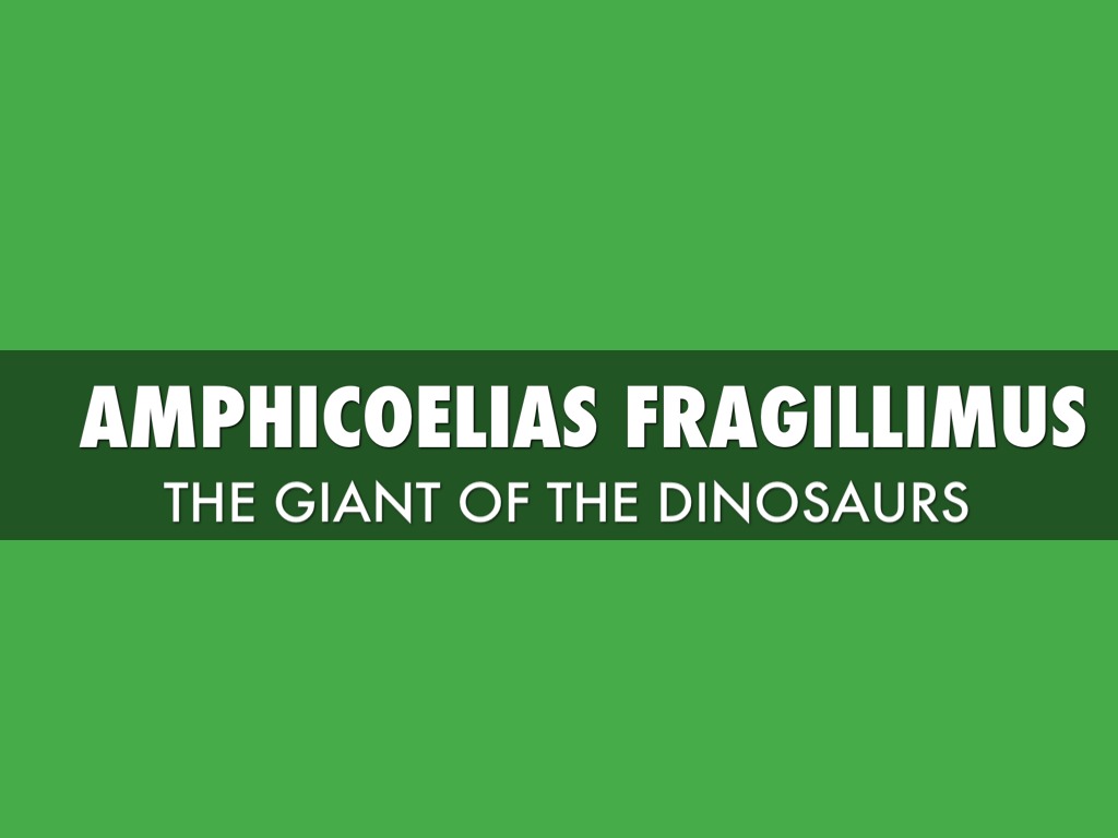 Amphicoelias fragillimus
