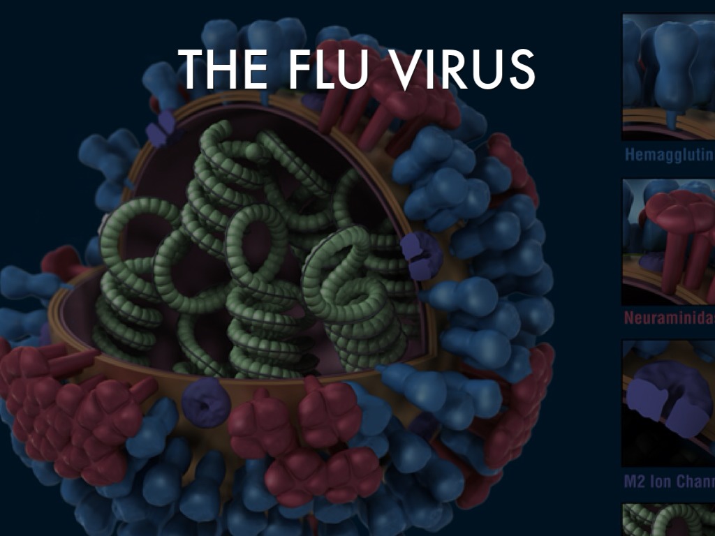 All Types Of Viruses
