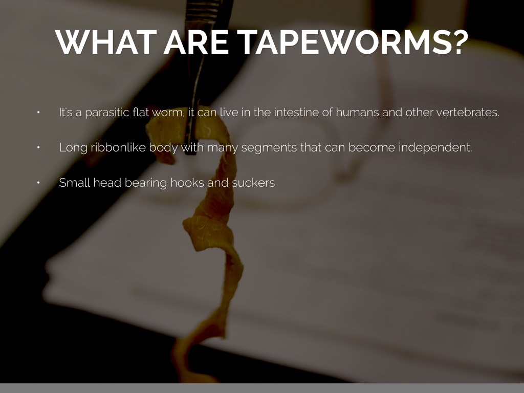 Tapeworms by Ruth Martinez