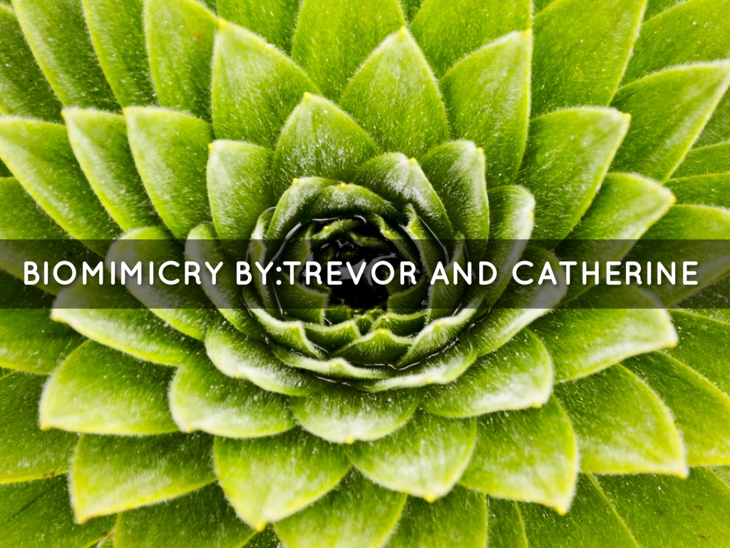 Biomimicry