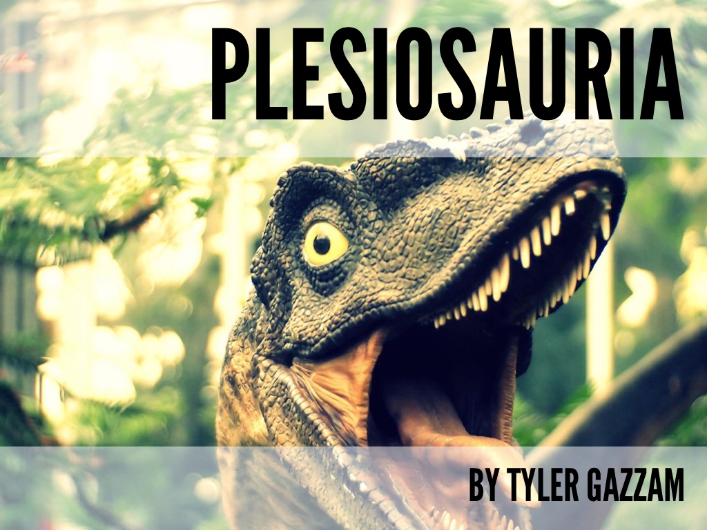 Plesiosaur
